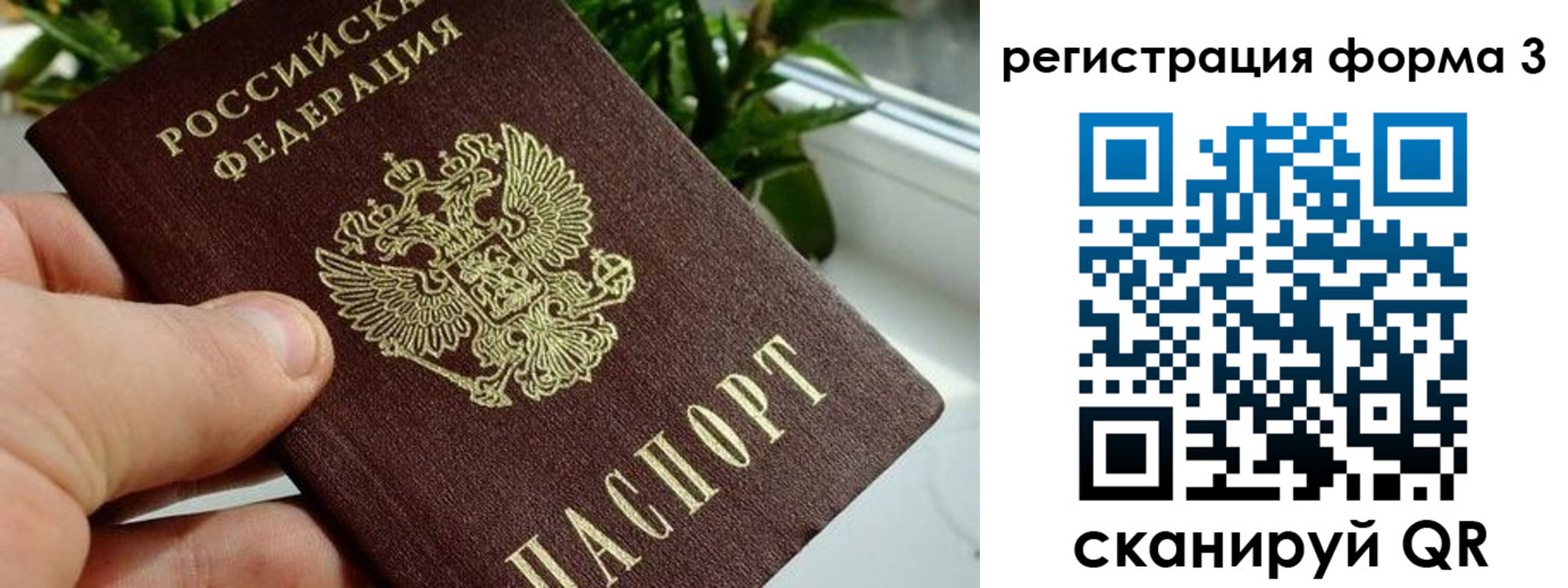 прописка штамп в Зеленогорске